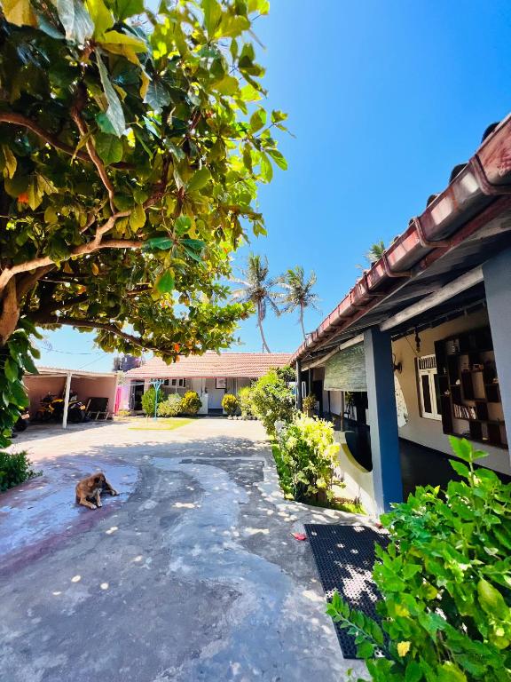 Sun Shine Guest House - 19