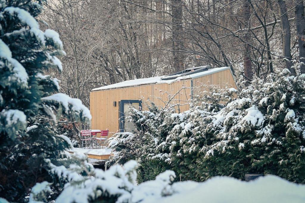 Το Tiny House Pioneer 5 - Green Tiny Village Harz τον χειμώνα