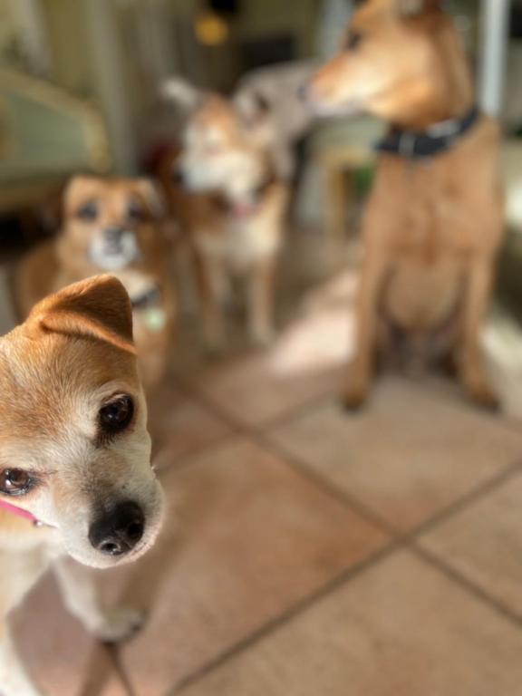 Sourire Hotel - Resim 27