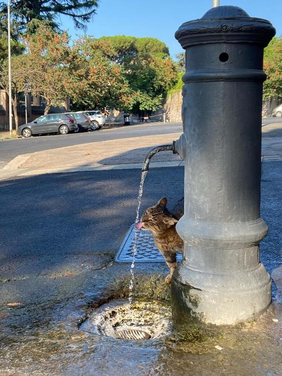 Sourire Hotel - Resim 19