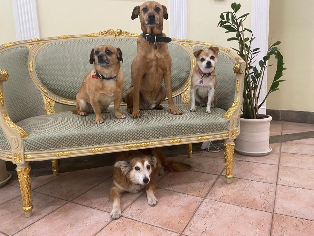 Sourire Hotel - Resim 23