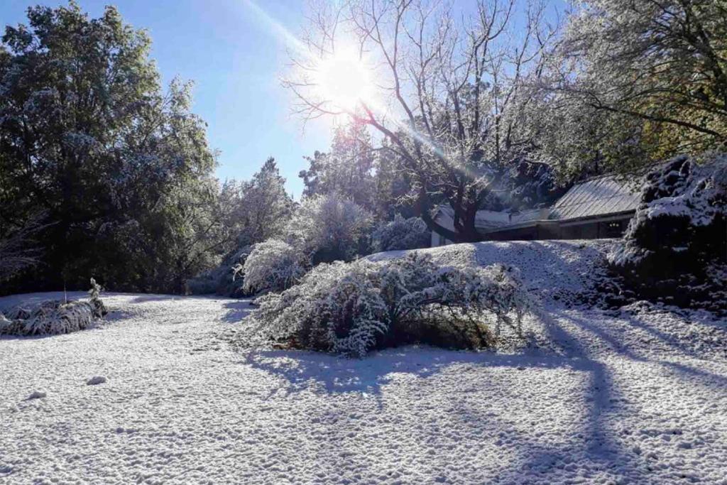 un patio cubierto de nieve con el sol en el fondo en Bergwinds, en Underberg