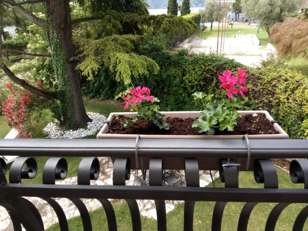 Zahrada ubytování Villa Torbole