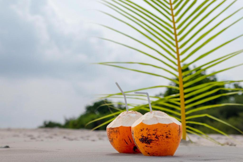 Fotografie z fotogalerie ubytování Velaa Garden View, Fodhdhoo- Maldives v destinaci Fodhdhoo