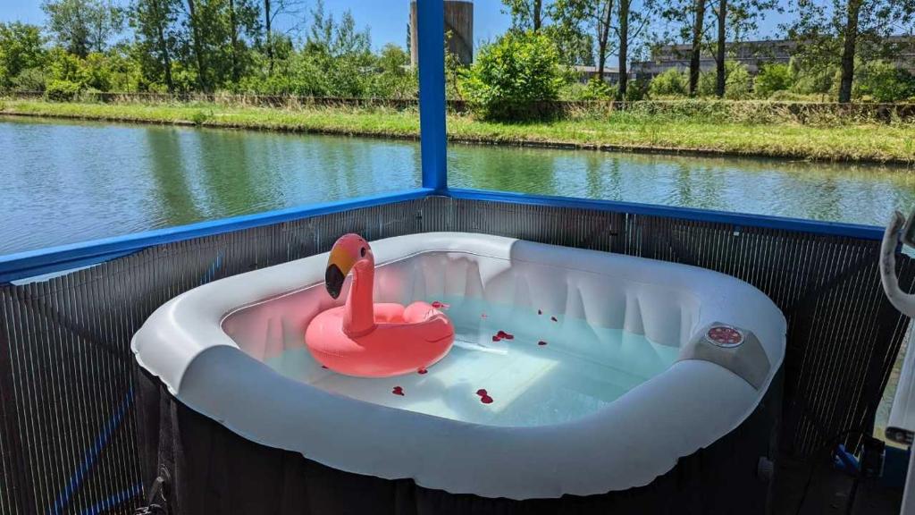 uma banheira com um cisne cor-de-rosa na água em Cottage flottant jacuzzi privé en option gamme supérieure em Saint-Jean-de-Losne