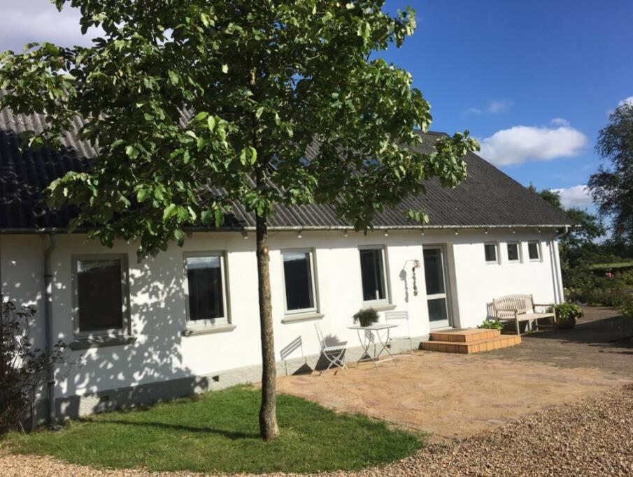 Una casa blanca con un árbol delante. en Skønt hus på landet tæt på Billund, en Give