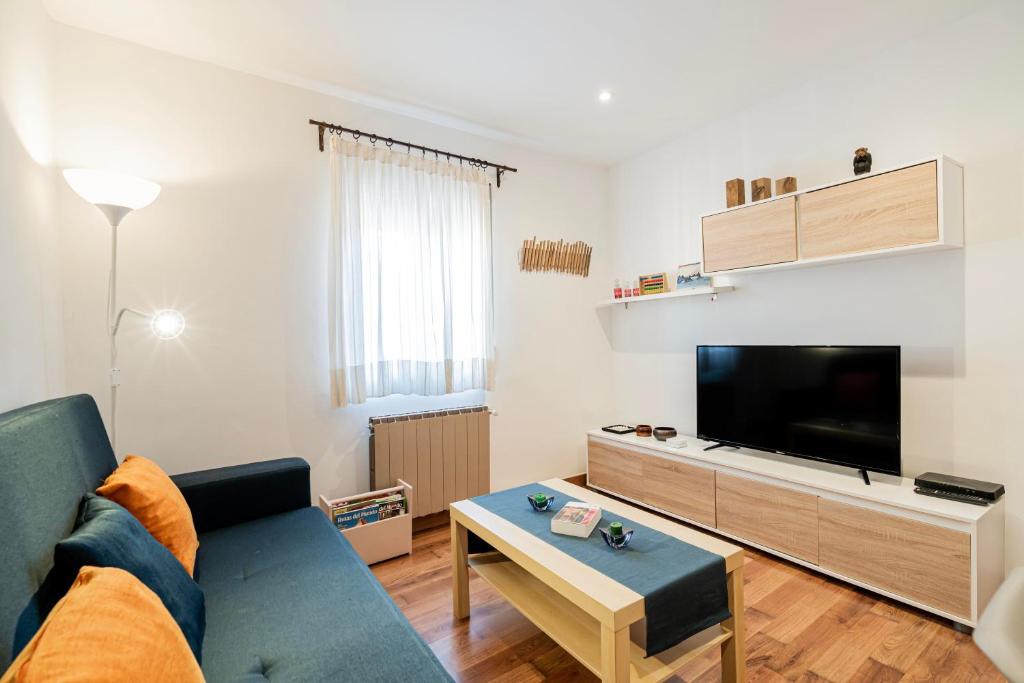 ein Wohnzimmer mit einem Sofa und einem Flachbild-TV in der Unterkunft Apartamento Plaza Castilla in Madrid