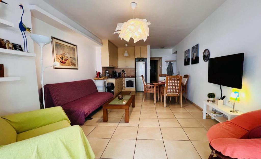 Televízia a/alebo spoločenská miestnosť v ubytovaní Elenis Athens Apartment