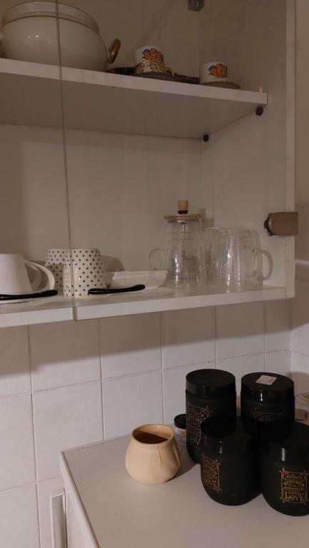 Kuchyň nebo kuchyňský kout v ubytování Vikendica Zajecar