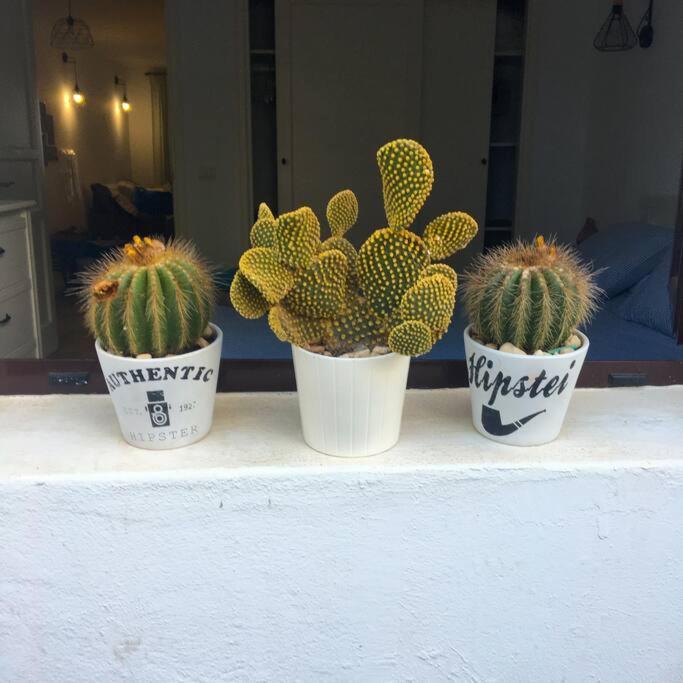 Fotografie z fotogalerie ubytování Vivienda Vacacional Cactus v destinaci Costa Teguise