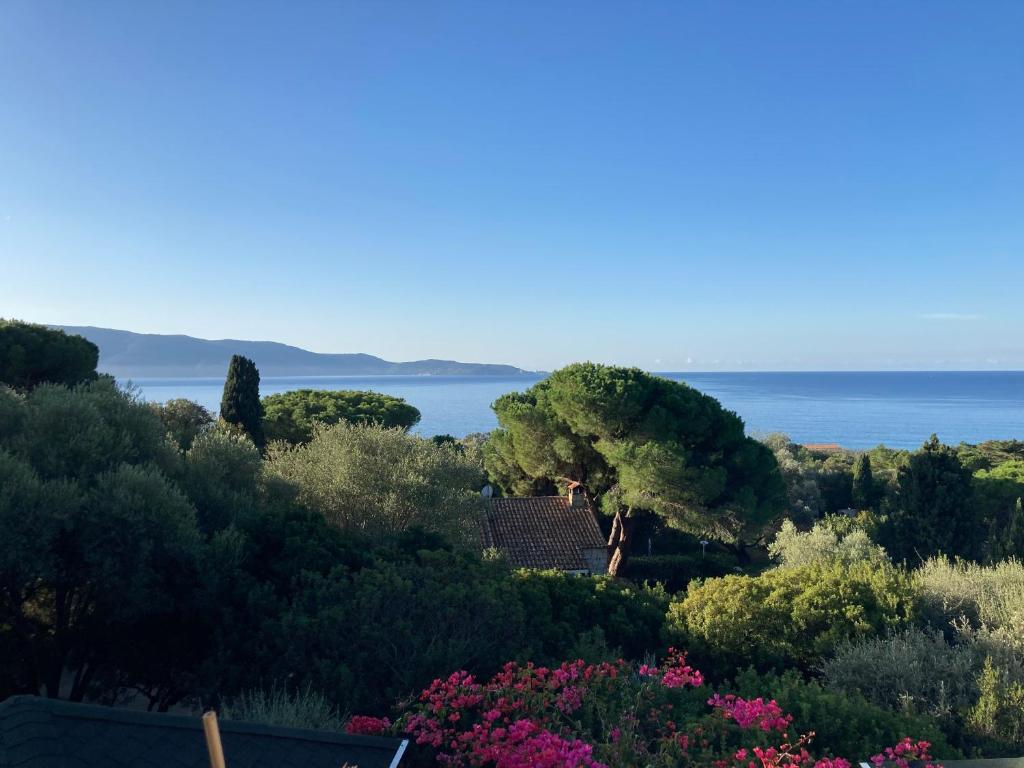 a view of the ocean from a hill with trees and flowers at Chez Jean Claude la villa des amis in Olmeto