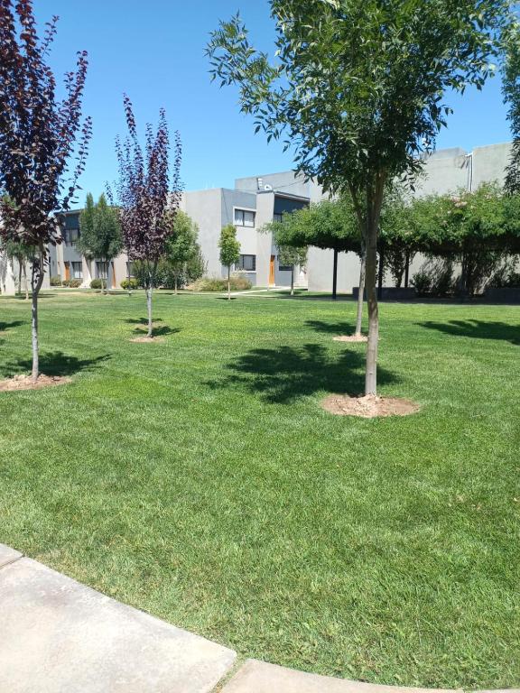 un parque con tres árboles en el césped en Departamento Moreno Park Bloque 16 en Luján de Cuyo