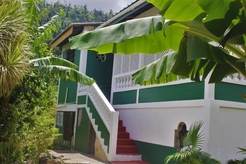 Celestial Apartments (Dominica Roseau)