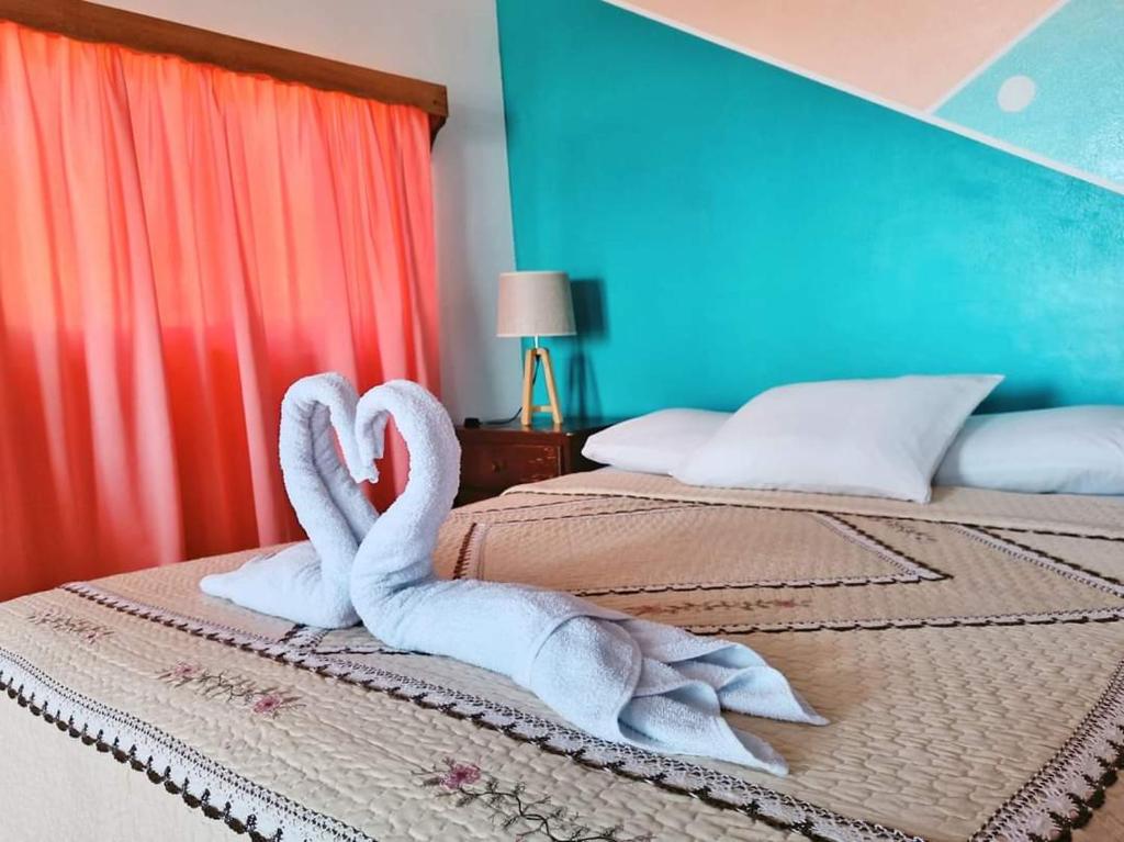 Los Delfines Hotel & Dive Center photo