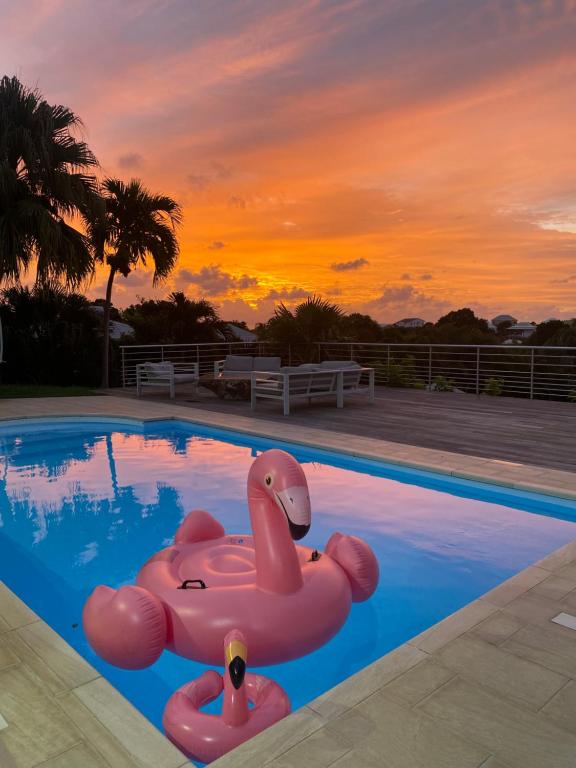 a pool with a pink float in the water at sunset at Villa Anse Vinaigri - Plage à pieds in Le Gosier