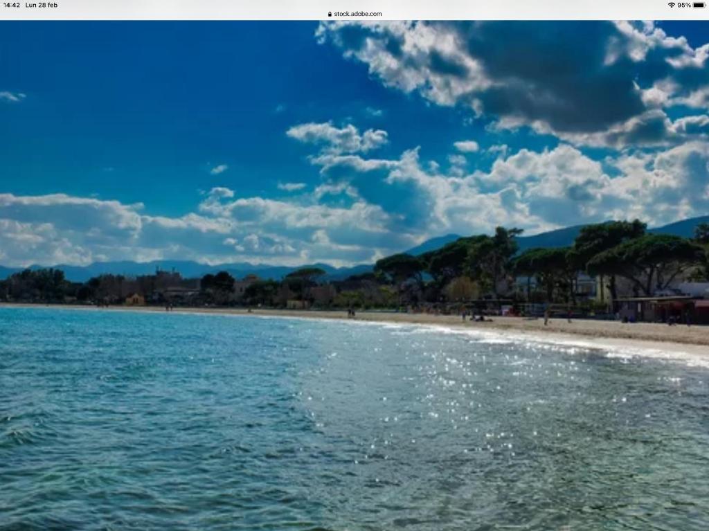 Ashur mondello - Resim 9