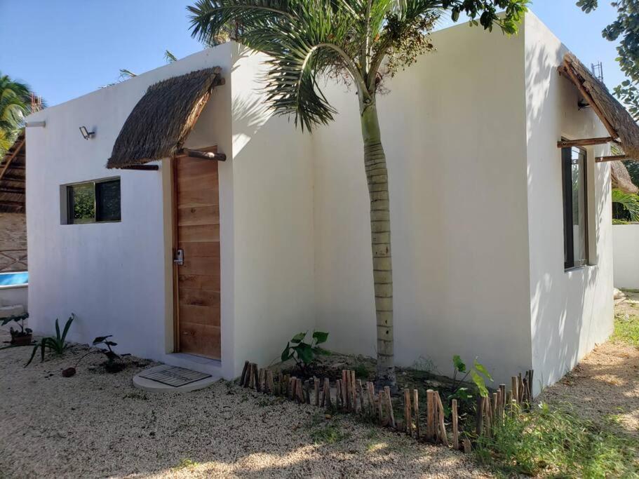 eine Palme neben einem weißen Gebäude mit einer Tür in der Unterkunft Departamento cómodo y hermoso a mts de la playa in San Crisanto