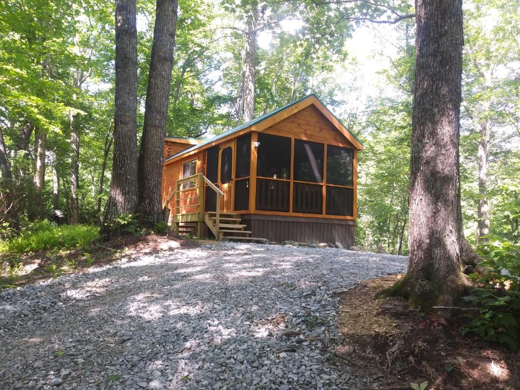 uma cabana na floresta com muitas árvores em Two Rivers Cabins - The Mountaintop em Brevard