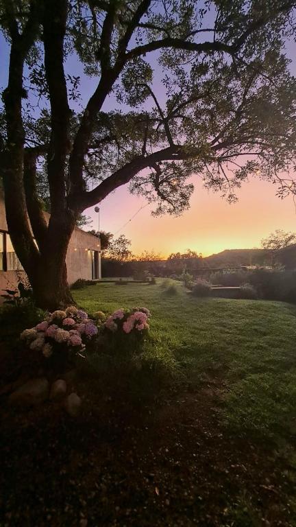 El Ceibo habitacion en suite, San Lorenzo