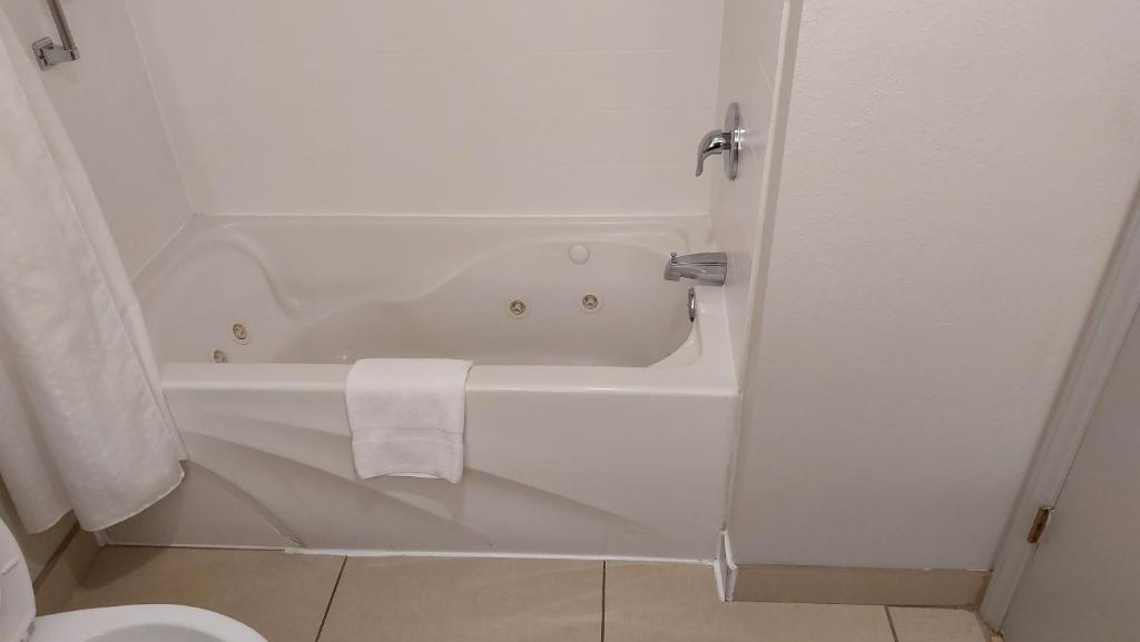 Holiday Inn Express Hotel & Suites Raleigh North - Wake Forest by IHG - Suite Queen Con Dos Camas Queen