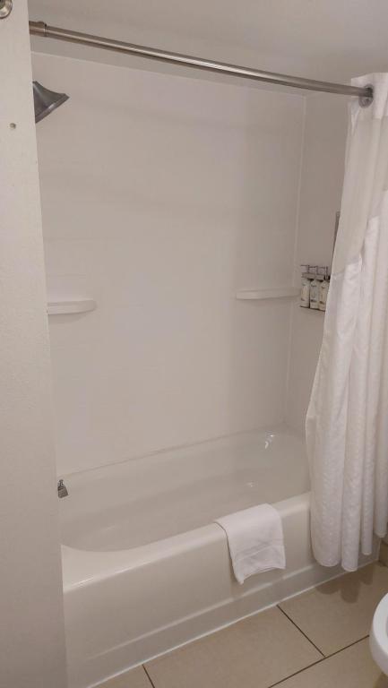 Holiday Inn Express Hotel & Suites Raleigh North - Wake Forest by IHG - Habitación Estándar