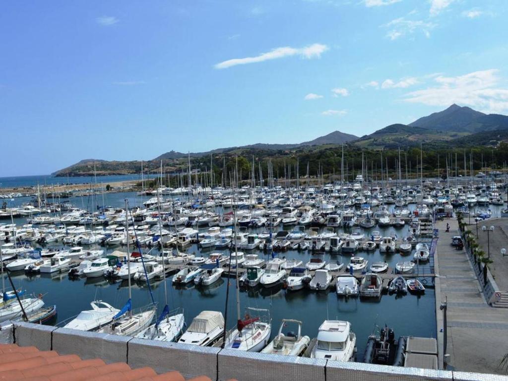 Un tas de bateaux sont amarrés dans un port de plaisance dans l'établissement Duplex 4 pièces avec terrasse et solarium, 150m de la mer, parking privé, ascenseur - FR-1-225-655, à Argelès-sur-Mer