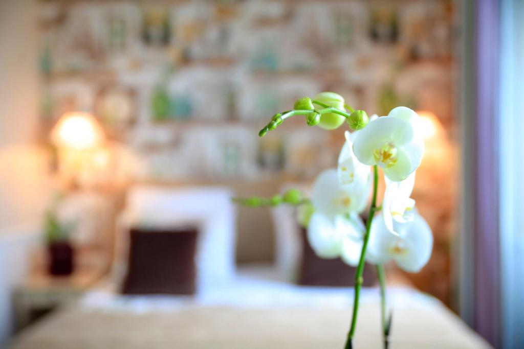 Relais Saint Jacques - Resim 25