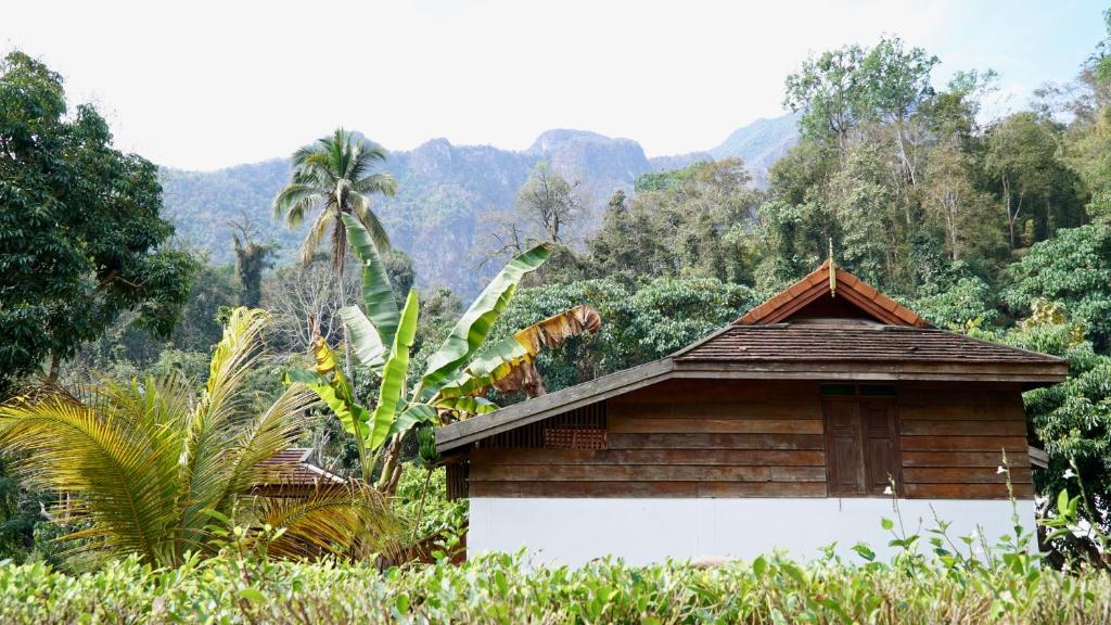 mały dom w środku lasu w obiekcie LANNA HOUSE บ้านลานนา เชียงดาว w mieście Chiang Dao