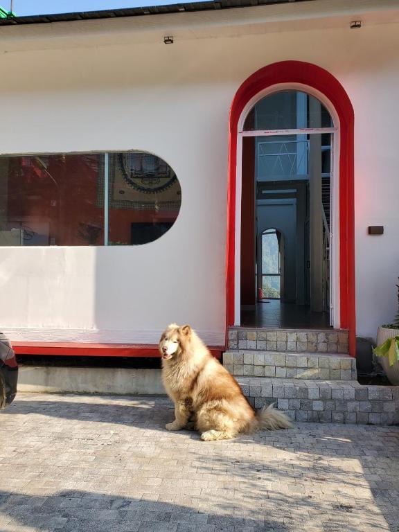 Le vent Tam Đảo homestay - 山景公寓