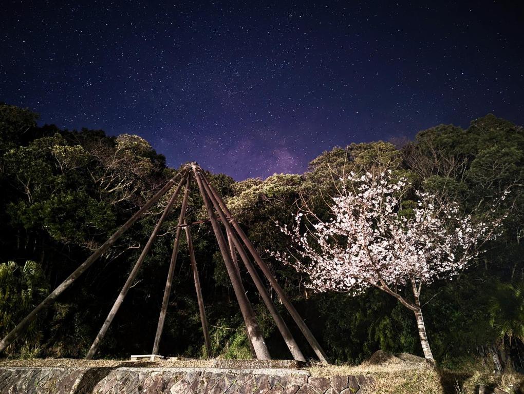 a starry night with a tree in the foreground at Seiryukyou in Nishinoomote