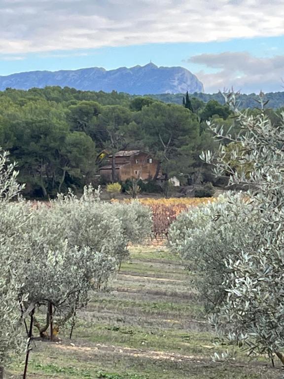 um campo de oliveiras com uma casa ao fundo em Le Gîte au cœur de la Provence em Venelles