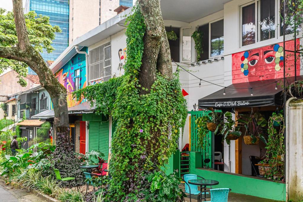 a tree covered in ivy in front of a building at Hotel Otoya 1907 Downtown in San José