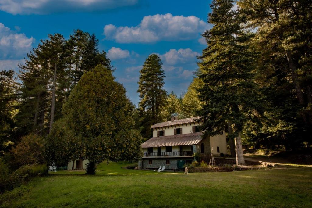 een oud huis in een veld met bomen bij Dimora Pietre Verdi in Cosentino