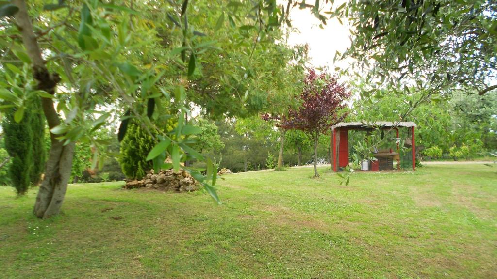 Ogród w obiekcie San Martin del Colle Holiday Home