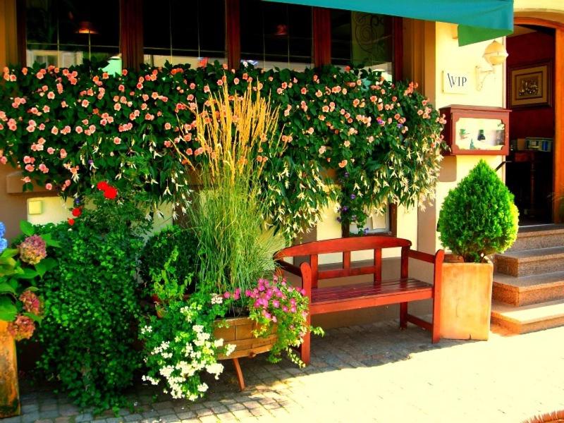 Zahrada ubytování Hotel Restaurant Krone