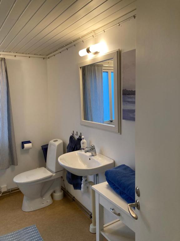 Koupelna v ubytování Slimmingegården 1019