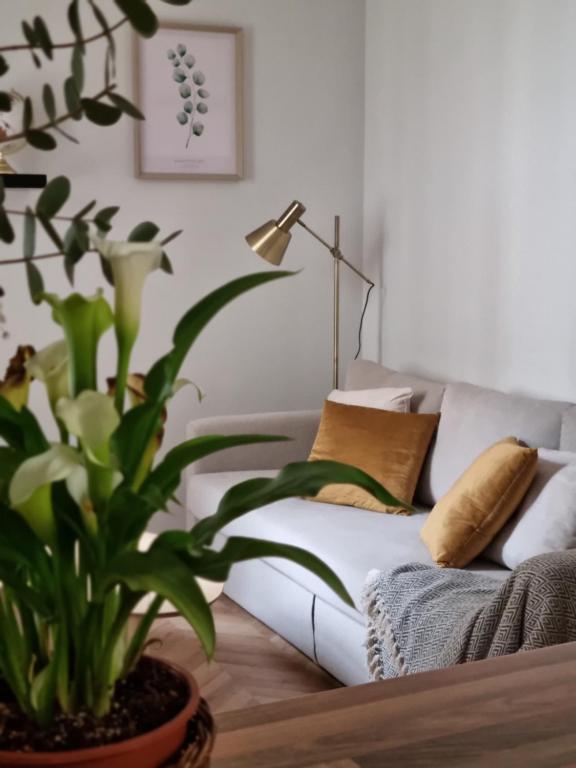 uma sala de estar com um sofá e uma planta em Cozy apartment in the city center em Granada
