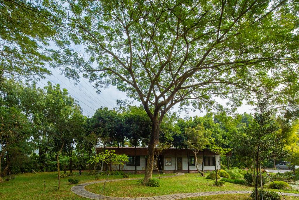 沐雨鍾林靜心民宿評價、身心靈療癒體驗、健康早餐、自然生態秘境 – 靜謐舒適的心靈家園 - 照片 12