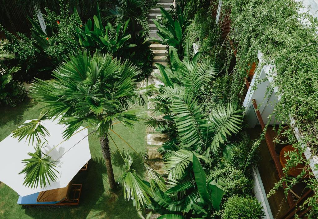 Jardí fora de PORTER HOTEL - Surf & Yoga Retreat