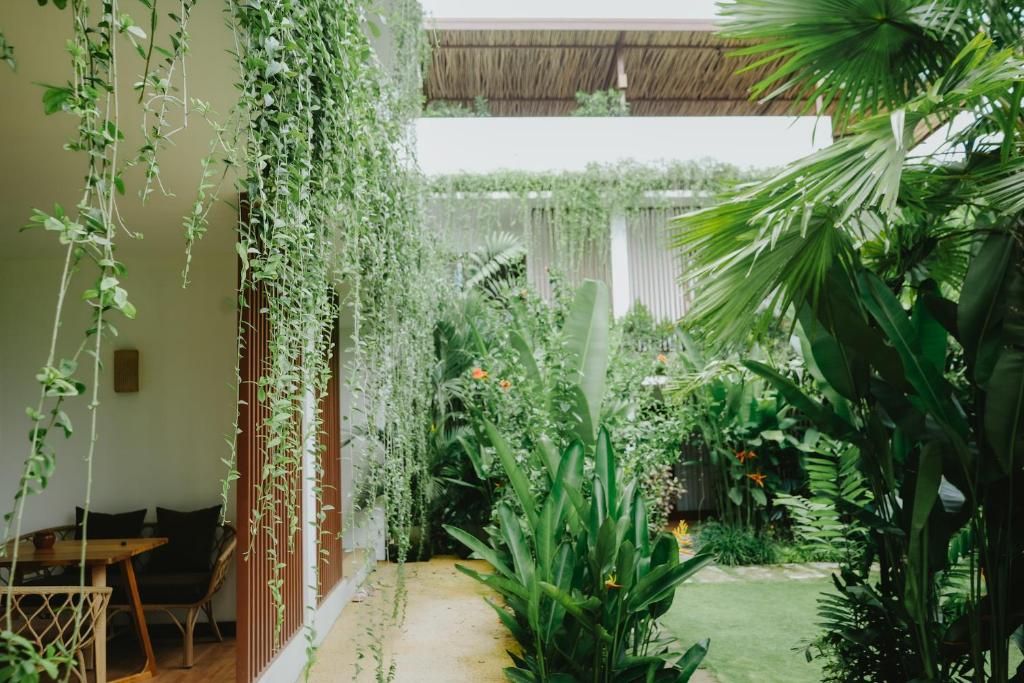 Jardí fora de PORTER HOTEL - Surf & Yoga Retreat