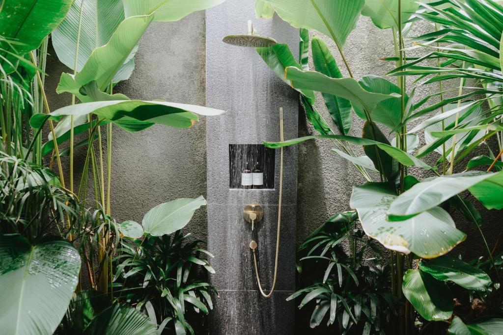 Jardí fora de PORTER HOTEL - Surf & Yoga Retreat