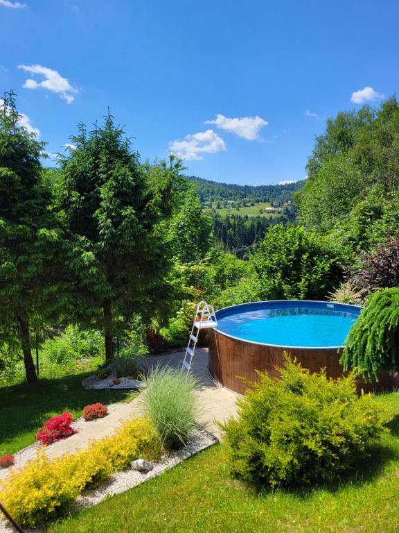 una piscina en un jardín con una escalera al lado en Chatka Beskidzka en Targanice