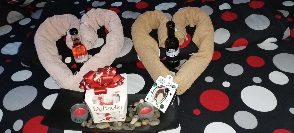 Fotografie z fotogalerie ubytování Simo&Dani v destinaci Temešvár