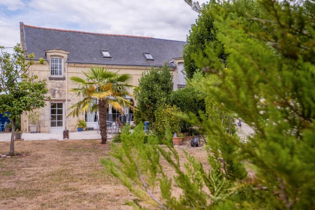 ein Haus mit einer Palme davor in der Unterkunft Maison Meslaie - Maison pour 8 avec piscine in Beaumont-en-Véron