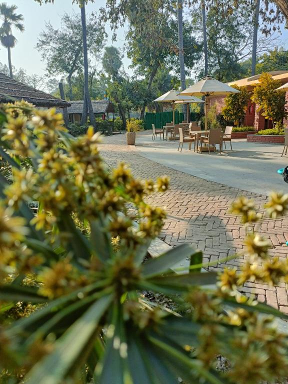 Fotografie z fotogalerie ubytování Pandu Pokhar Eco Adventure Resort v destinaci Rádžgir