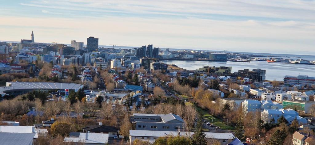 una vista aérea de una ciudad con puerto en Panoramic Studio Apartment with stunning view - Free Parking, en Reikiavik