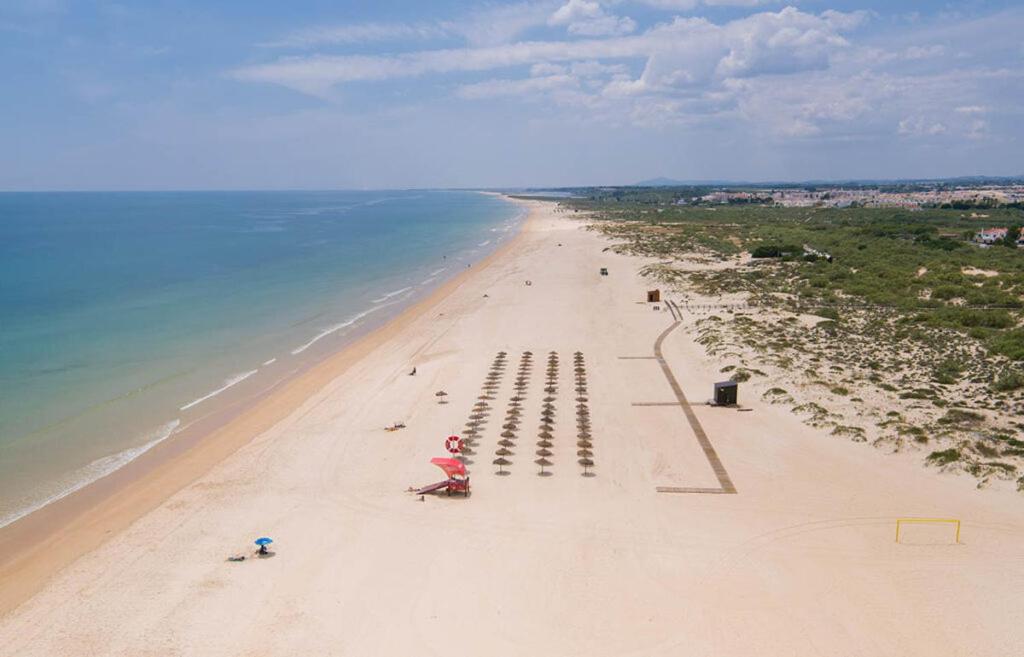 En strand i nærheden af lejligheden