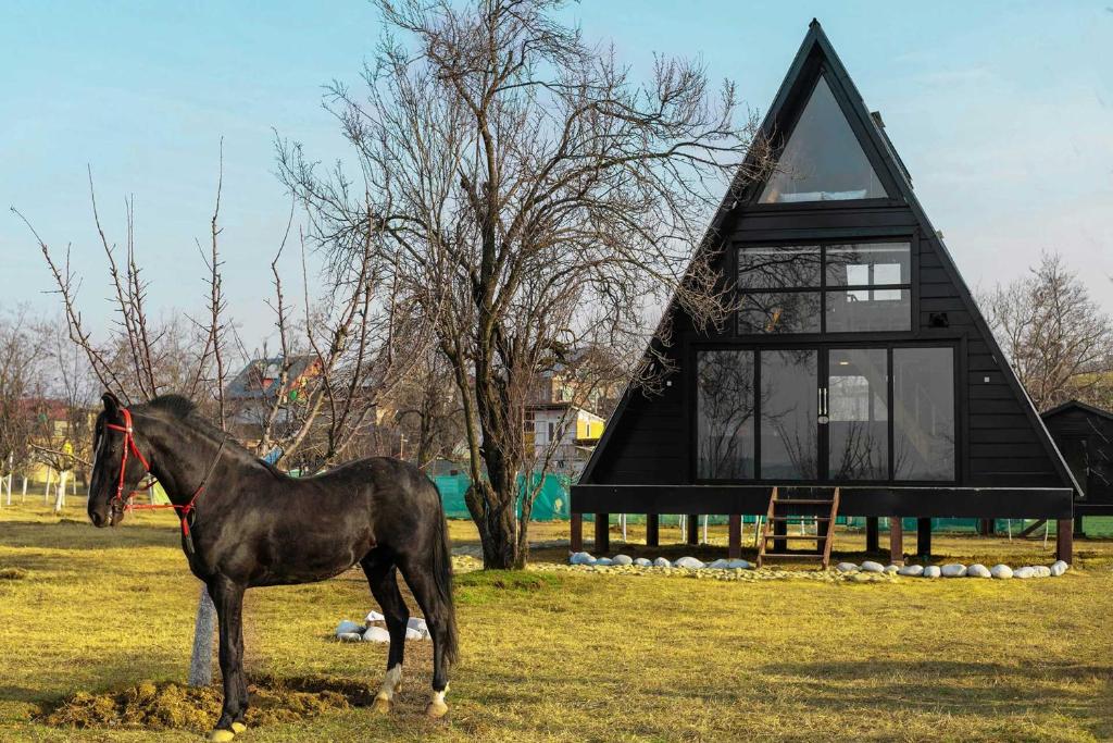 a horse standing in front of a black house at StayVista at The Loft - A Frame structure & English Interiors in Srinagar