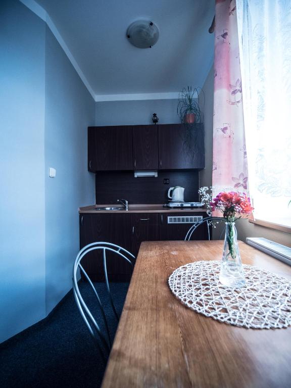 Kuchyň nebo kuchyňský kout v ubytování Hotel Holzbecher Ratibořice