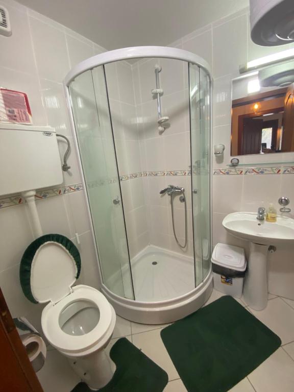 a bathroom with a shower and a toilet and a sink at Apartman Jelen in Kaludjerske Bare